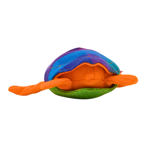 Turtle Backpack NWBF1111-1
